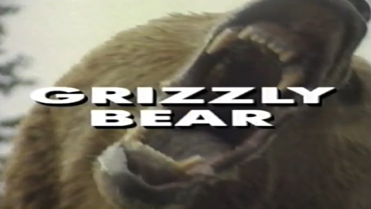 Predators of the Wild: Grizzly Bear backdrop