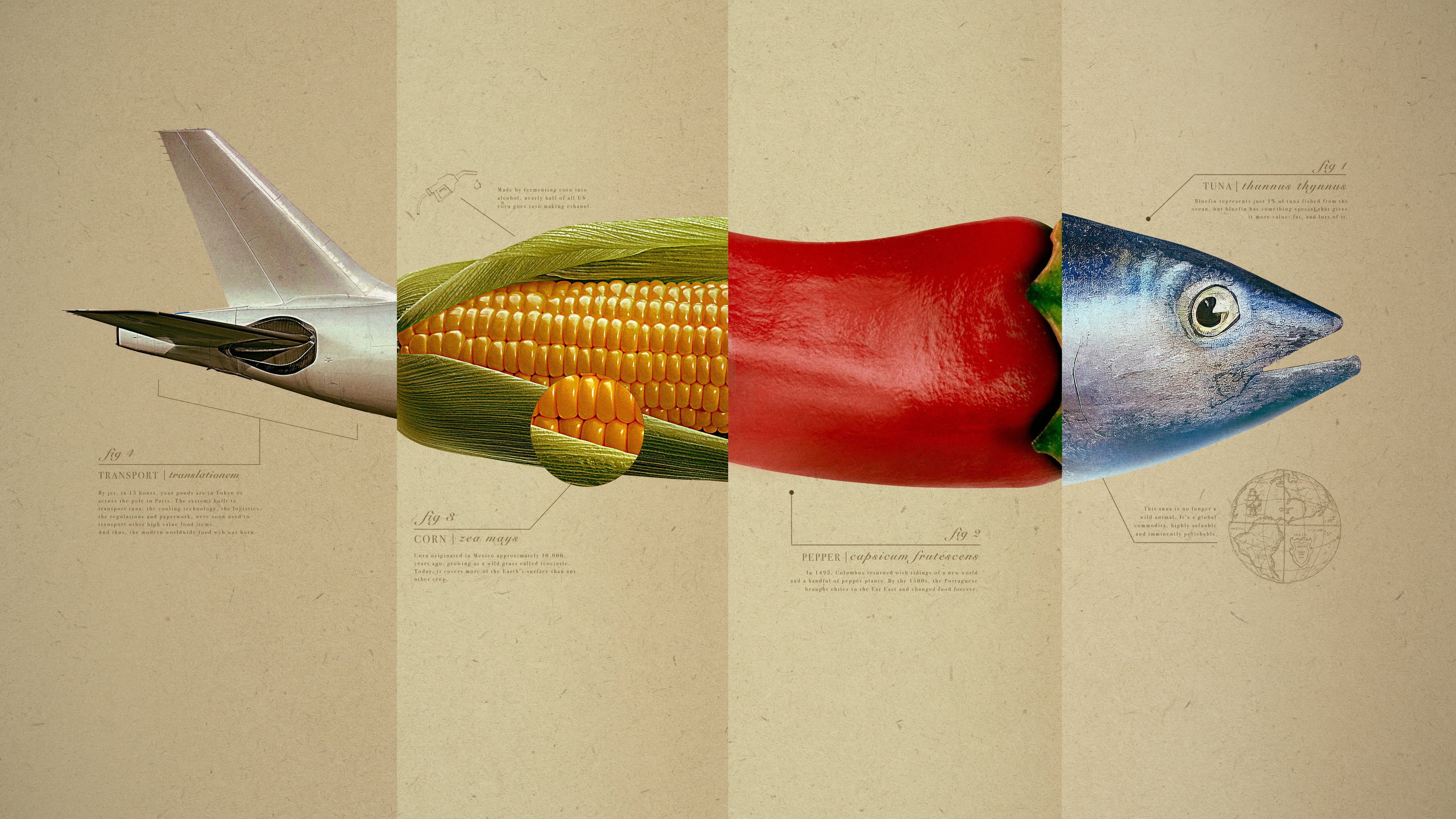 Omnivore backdrop