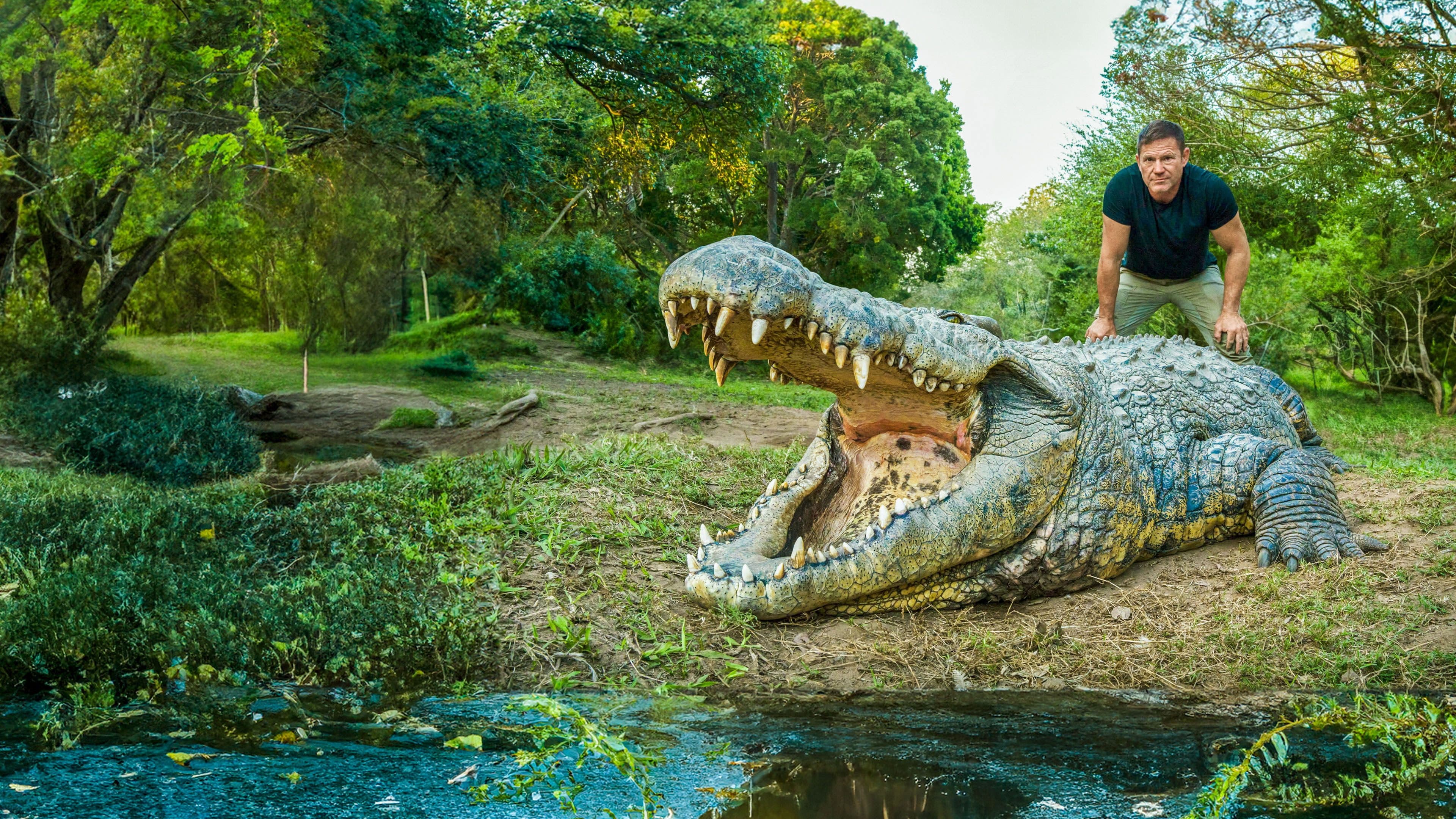 Killer Crocs with Steve Backshall backdrop