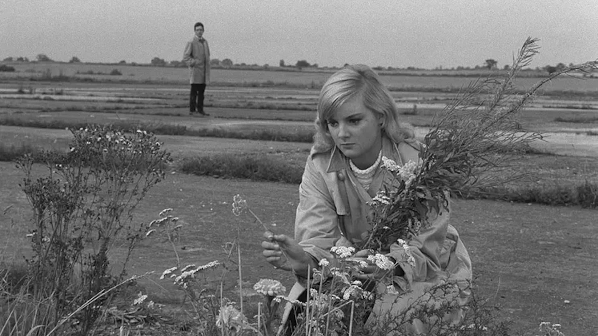 The Strange World of Gurney Slade backdrop