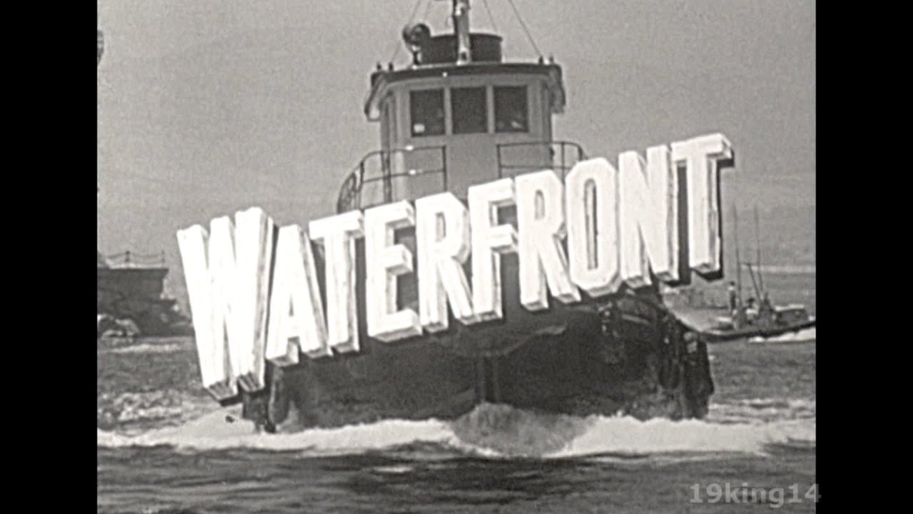 Waterfront backdrop