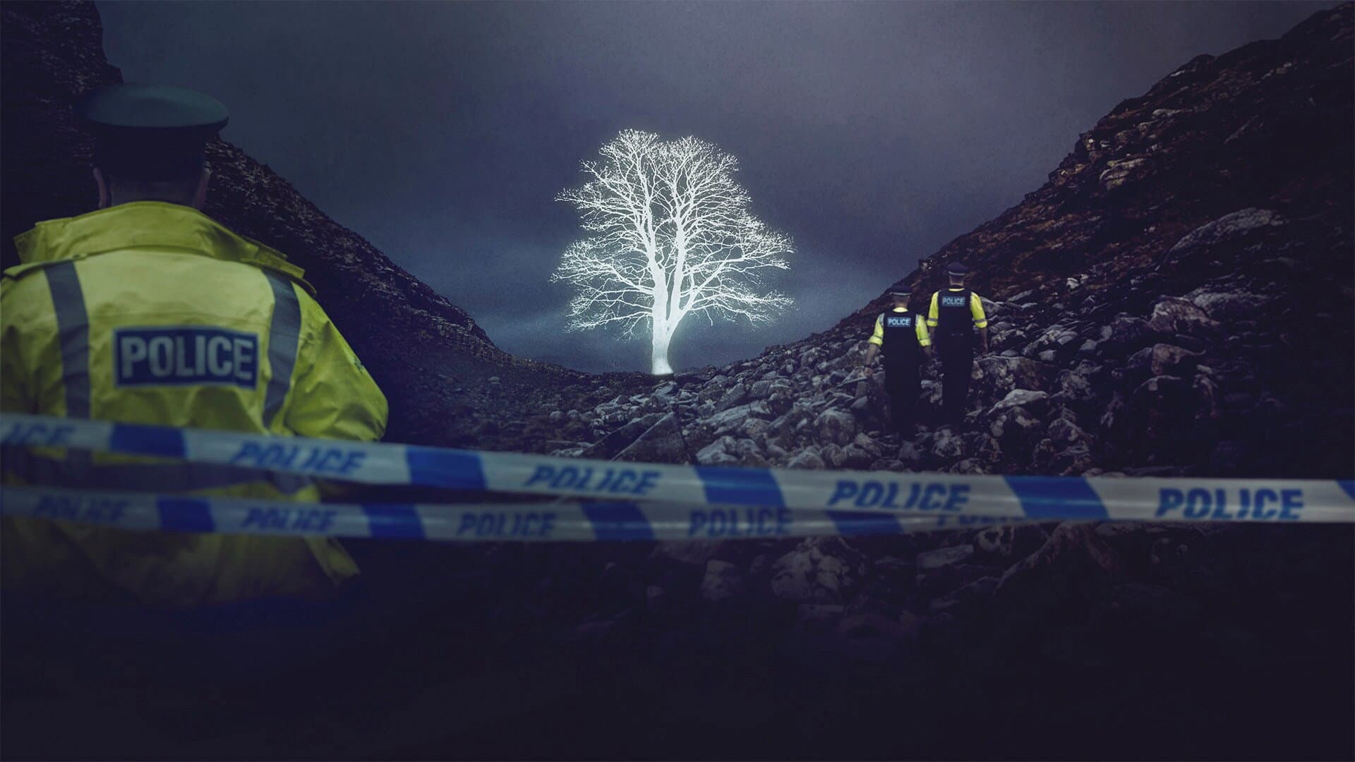 The Sycamore Gap Mystery backdrop