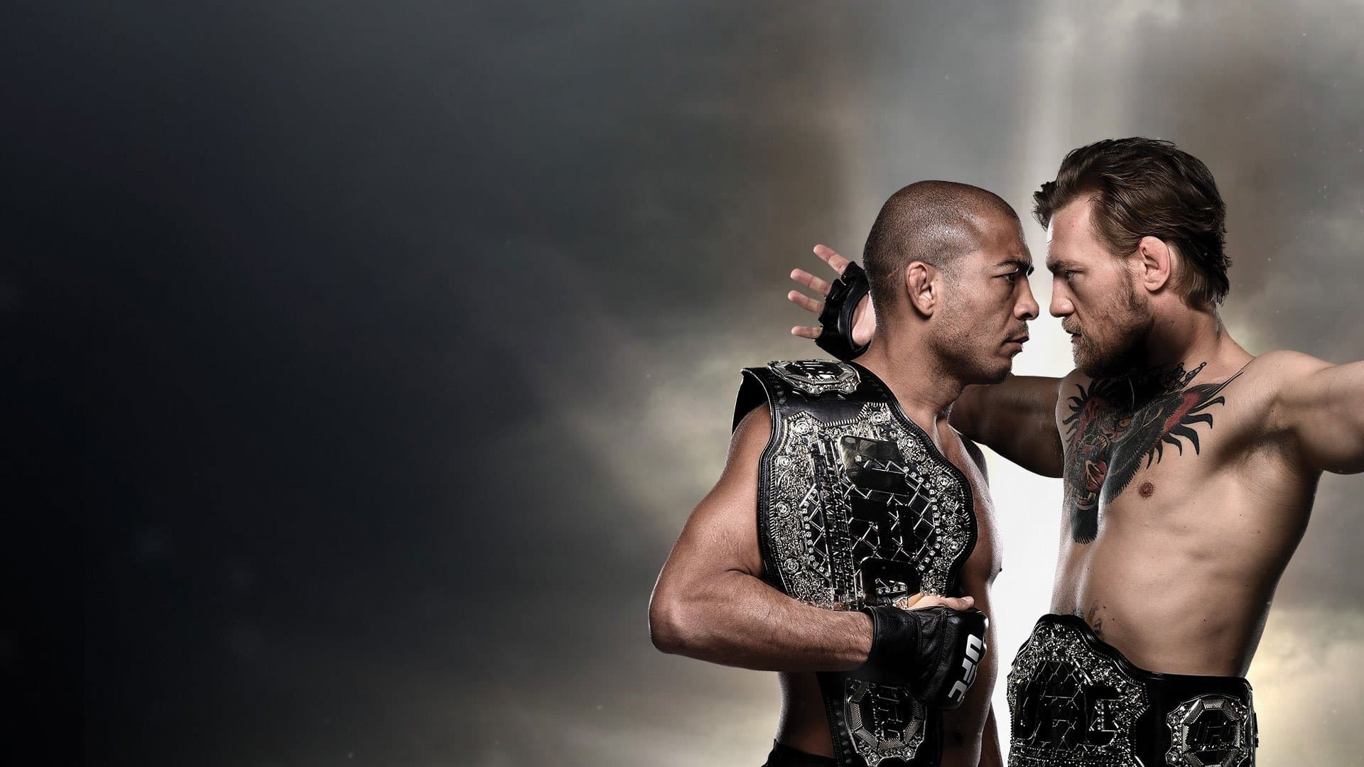 UFC 194: Aldo vs. McGregor backdrop