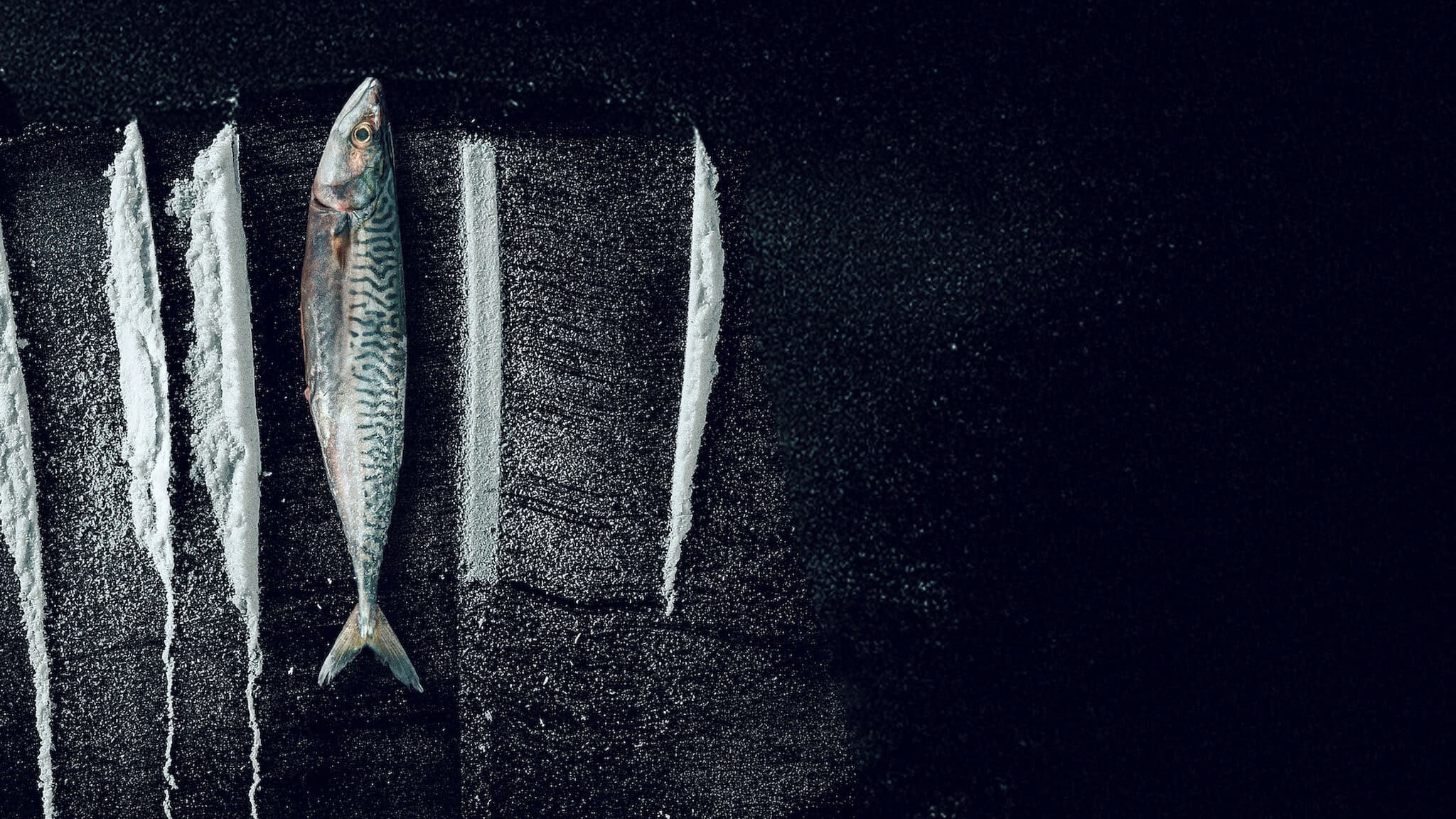 Turn of the Tide: The Surreal Story of Rabo de Peixe backdrop
