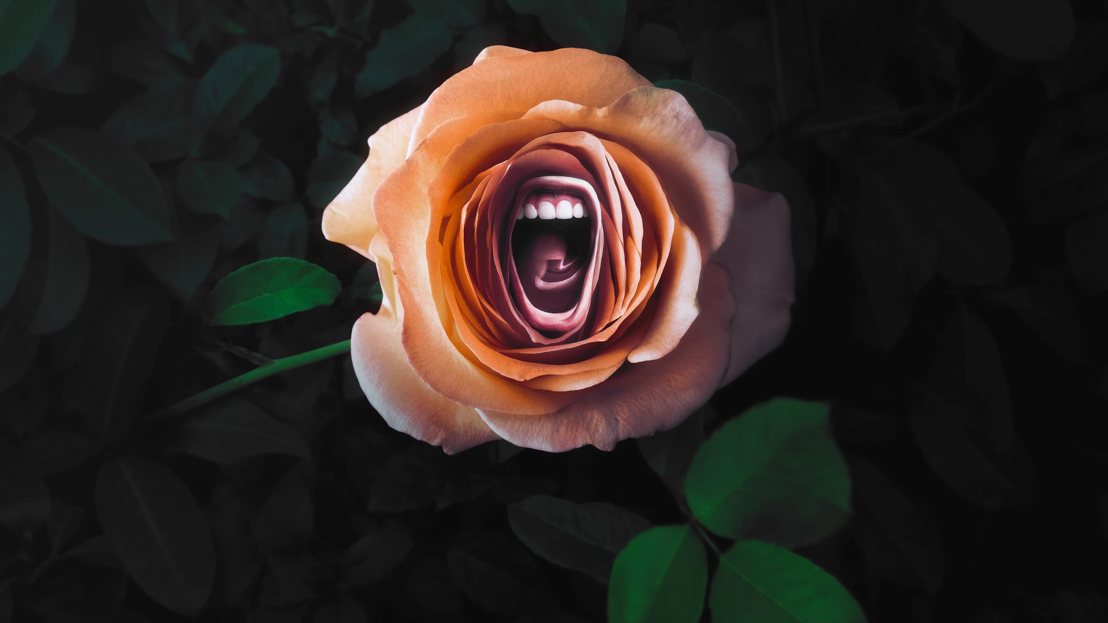 Roar backdrop