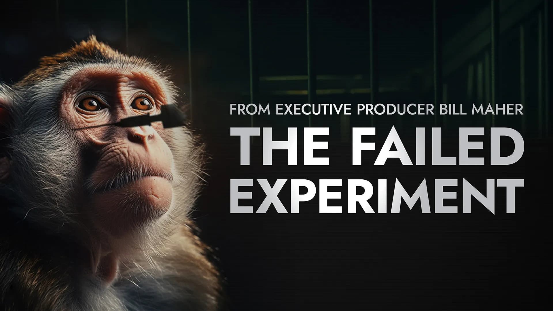 The Failed Experiment backdrop