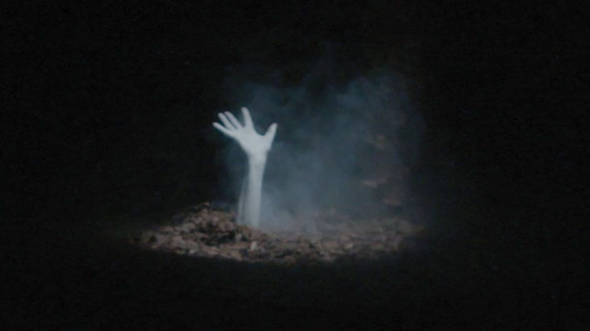 Zombie Land backdrop