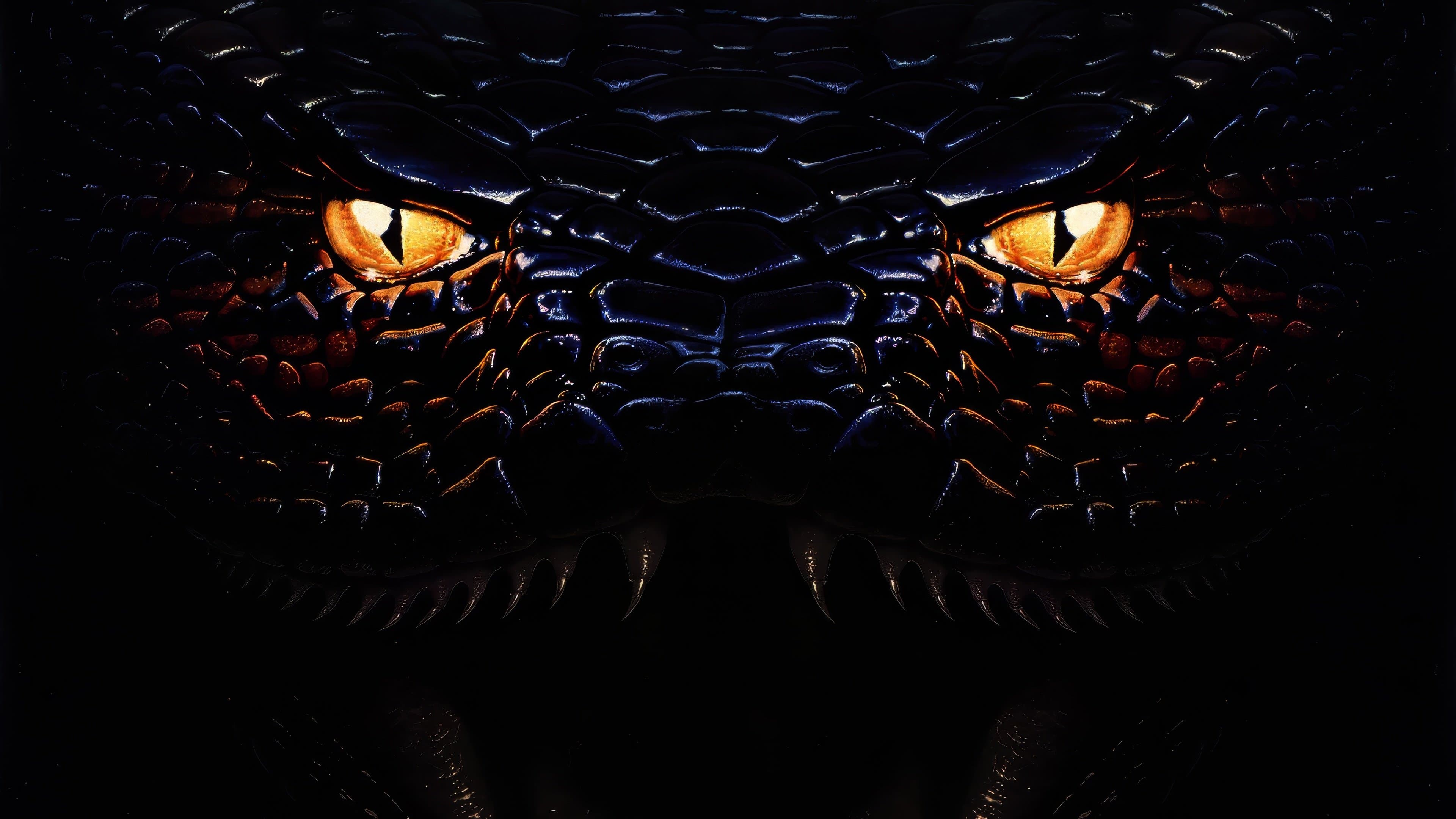 Anaconda backdrop