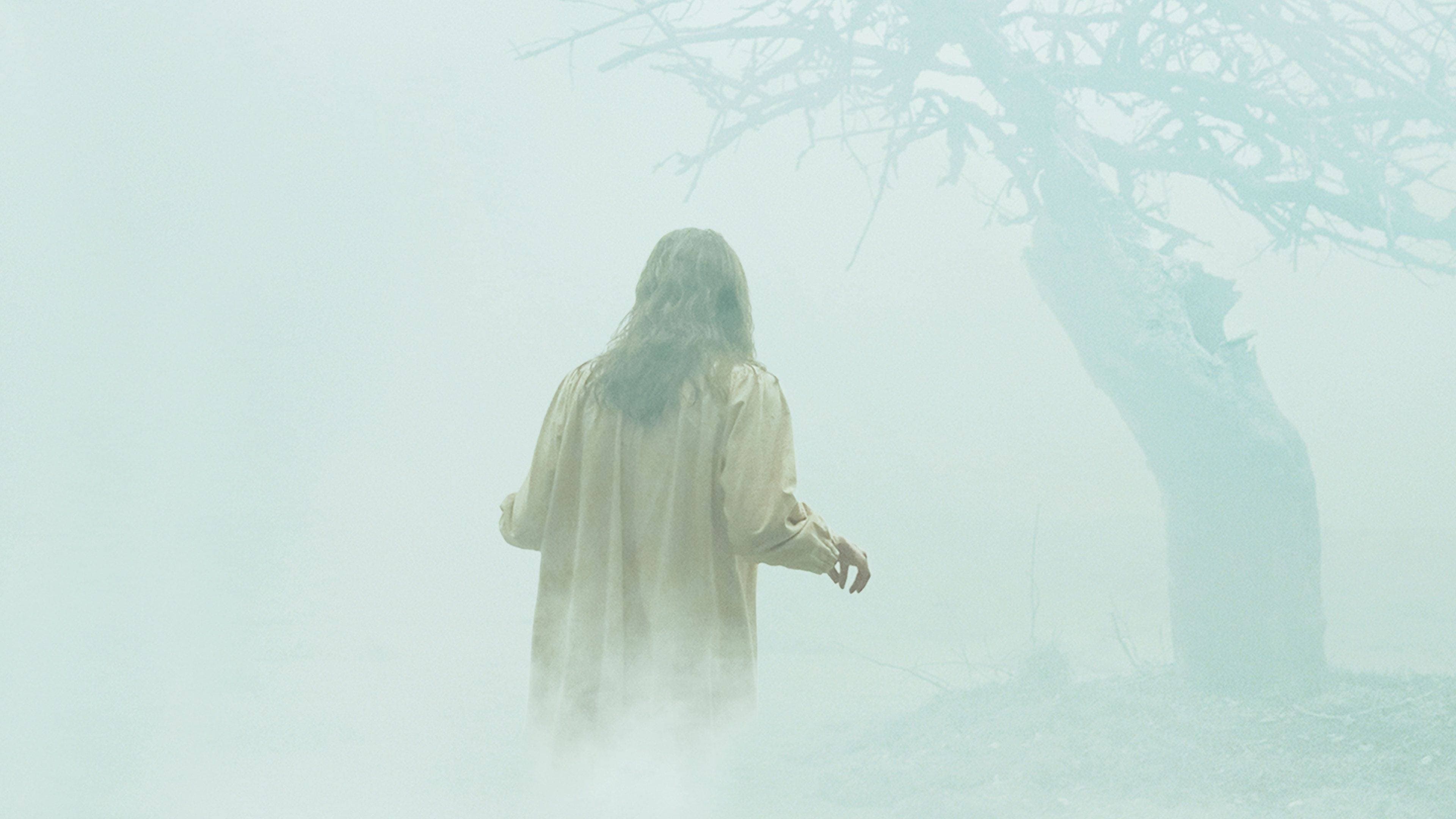 The Exorcism of Emily Rose backdrop