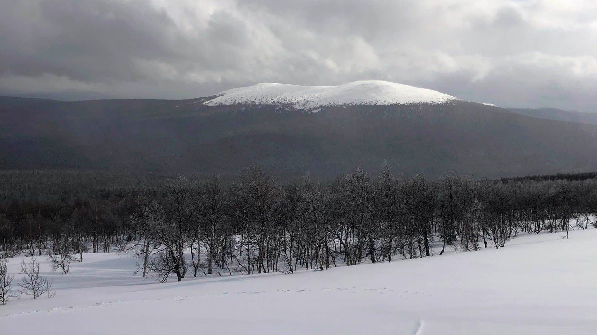The Dyatlov Pass Incident backdrop