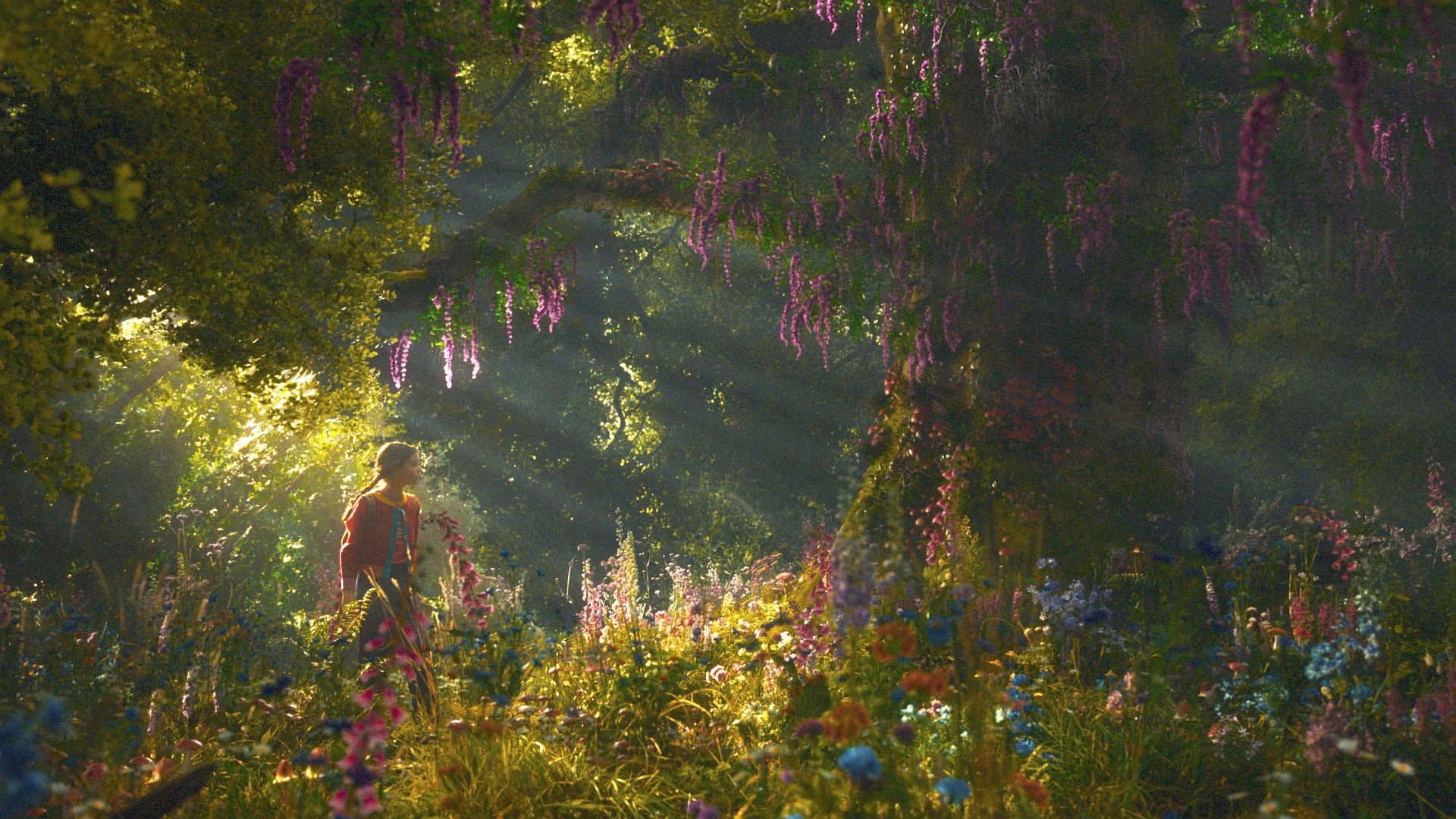 The Magic Faraway Tree backdrop