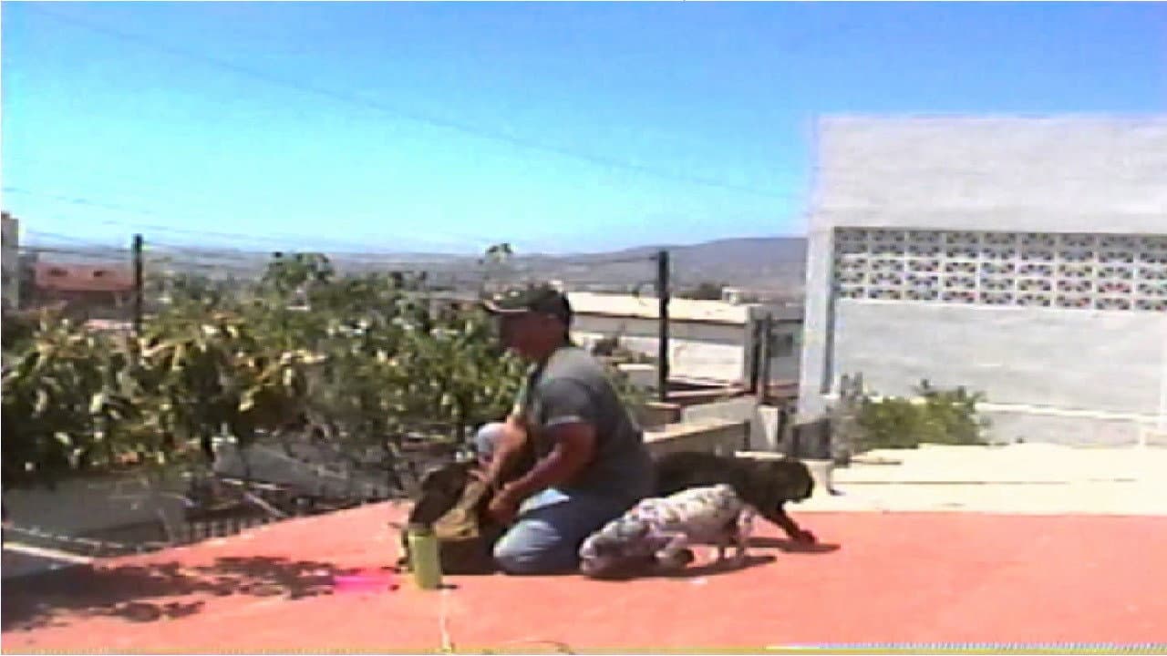 Los que se quedan backdrop
