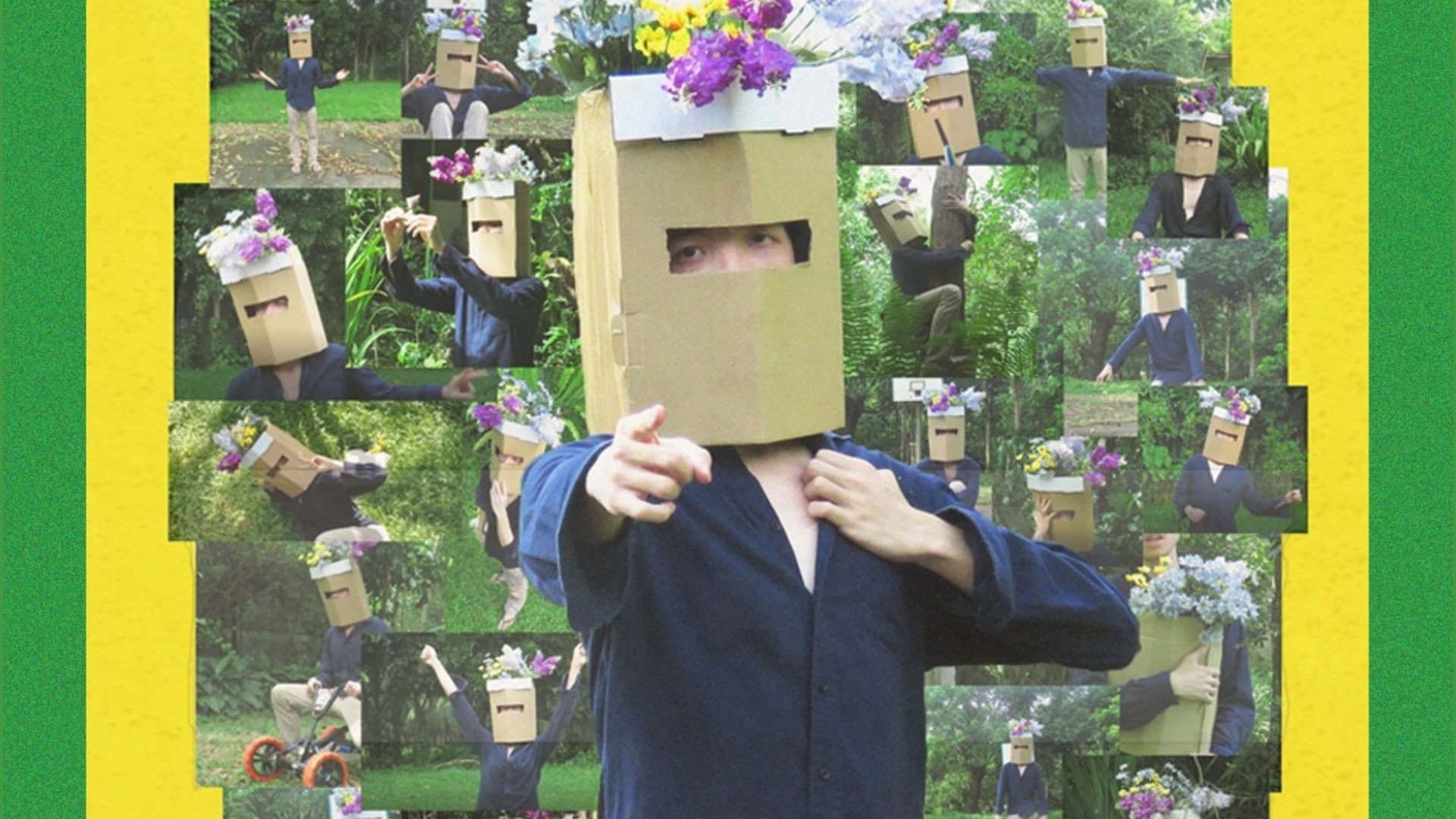 PLANT BOY backdrop