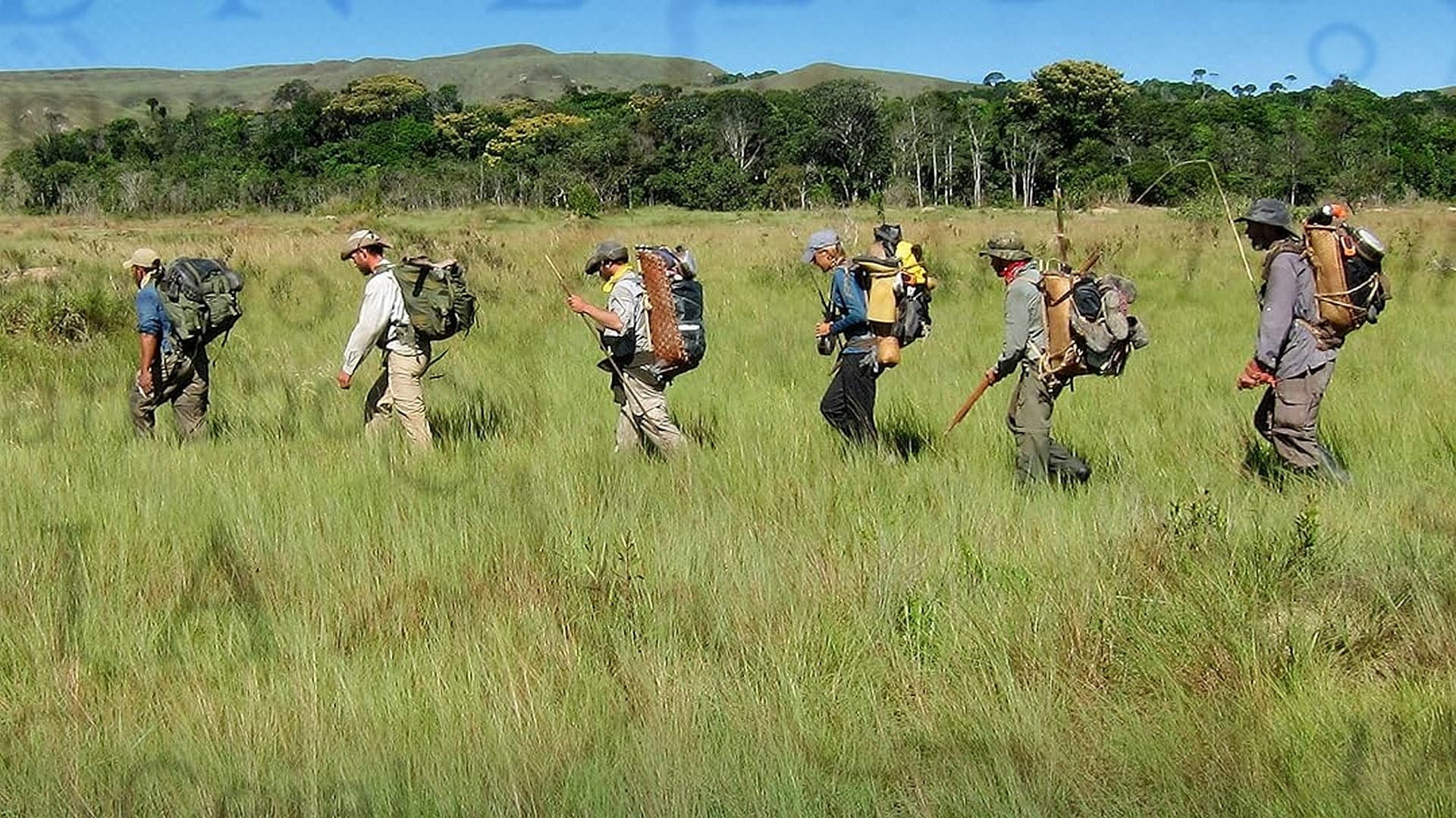 Out of the Wild: Venezuela backdrop