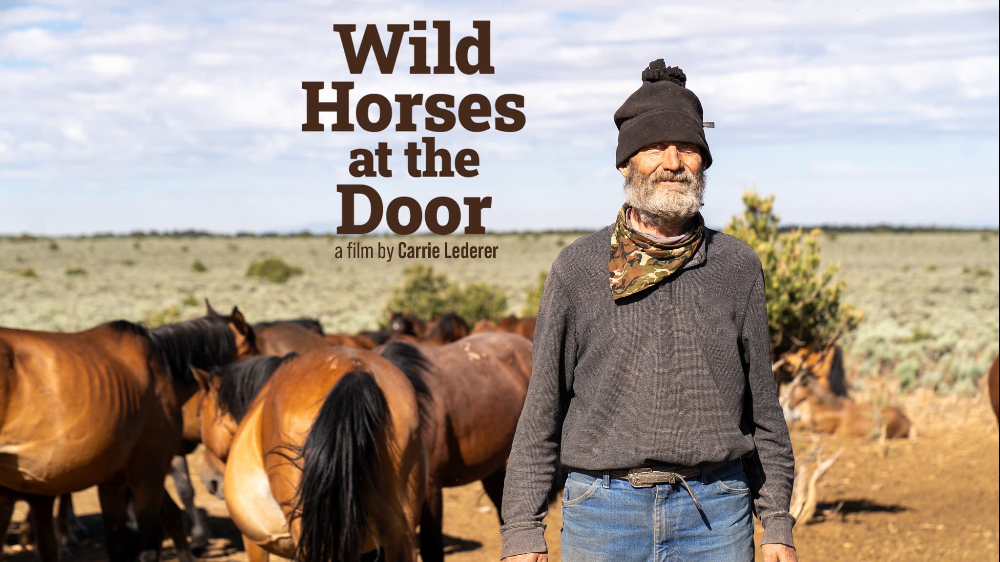 Wild Horses at the Door backdrop