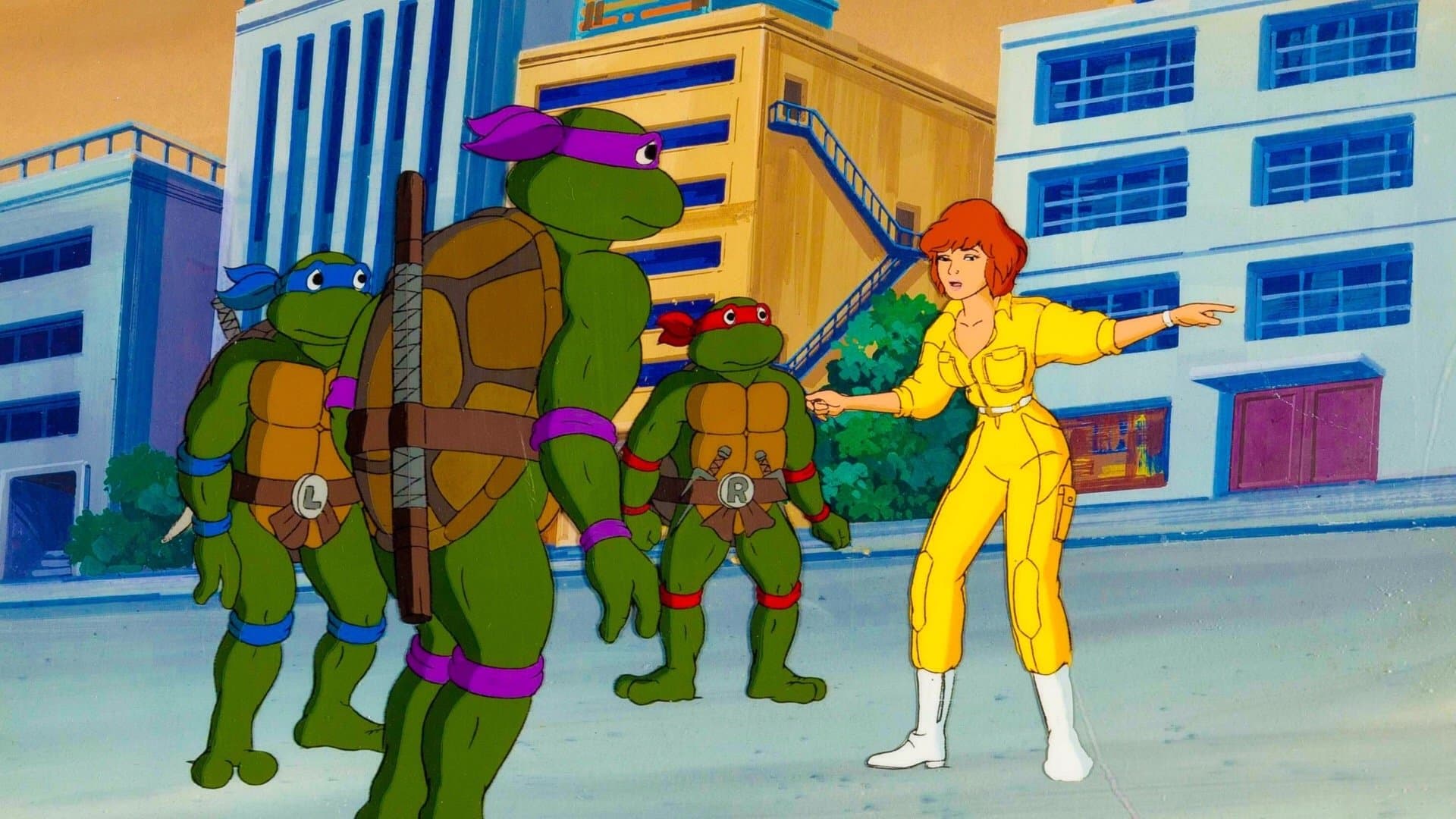 Teenage Mutant Ninja Turtles backdrop