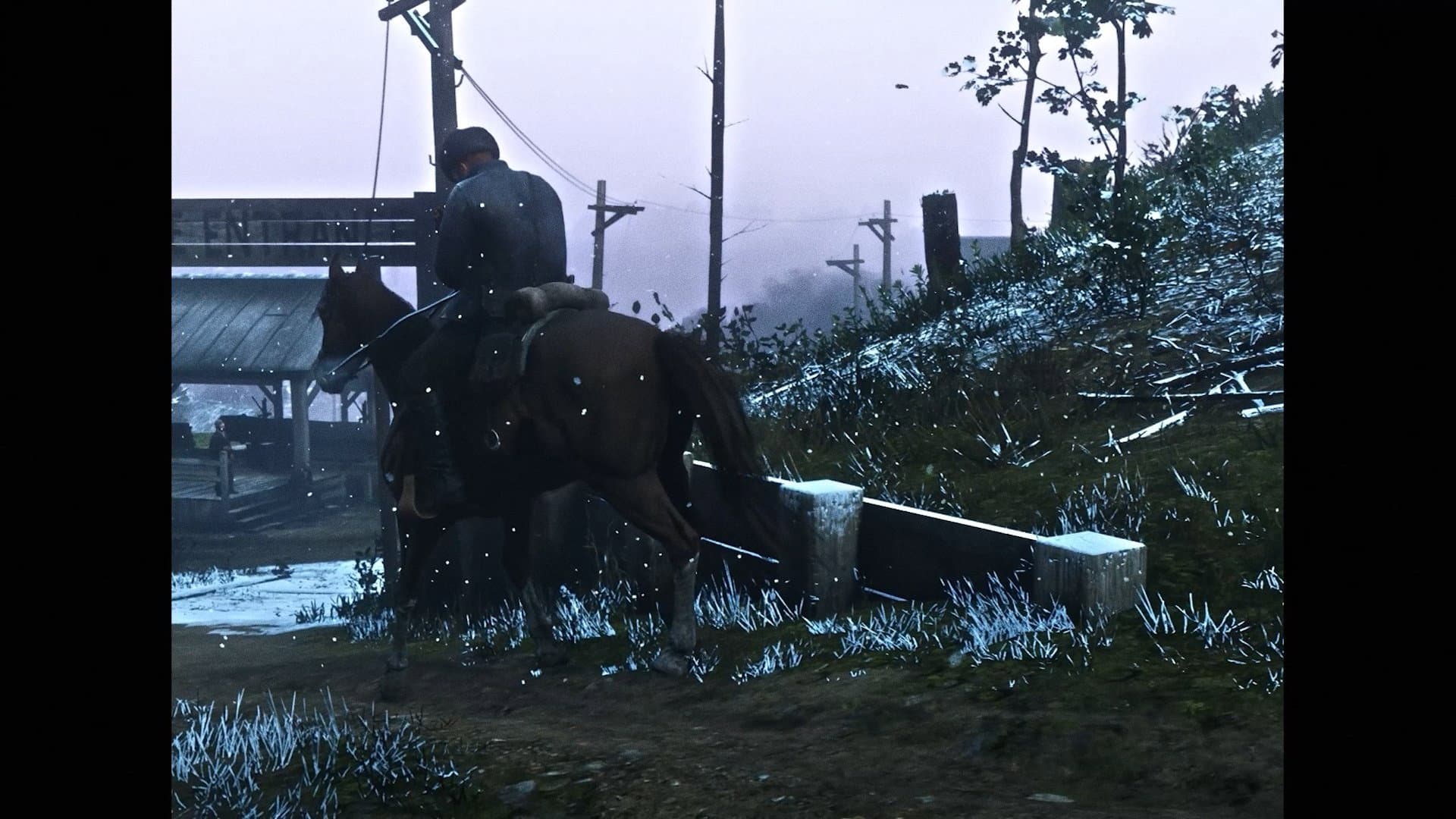 RED DEAD LIBERATION backdrop