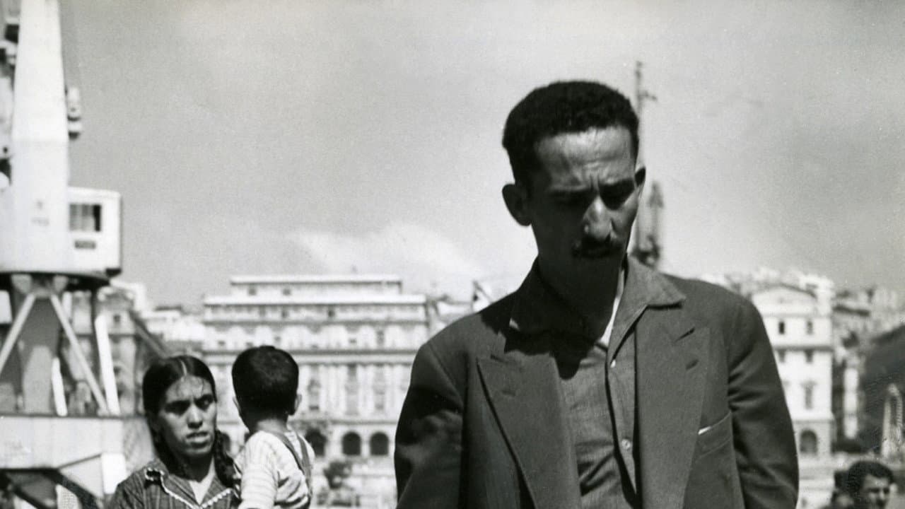 An Unhealed Wound - The Harkis in the Algerian War backdrop