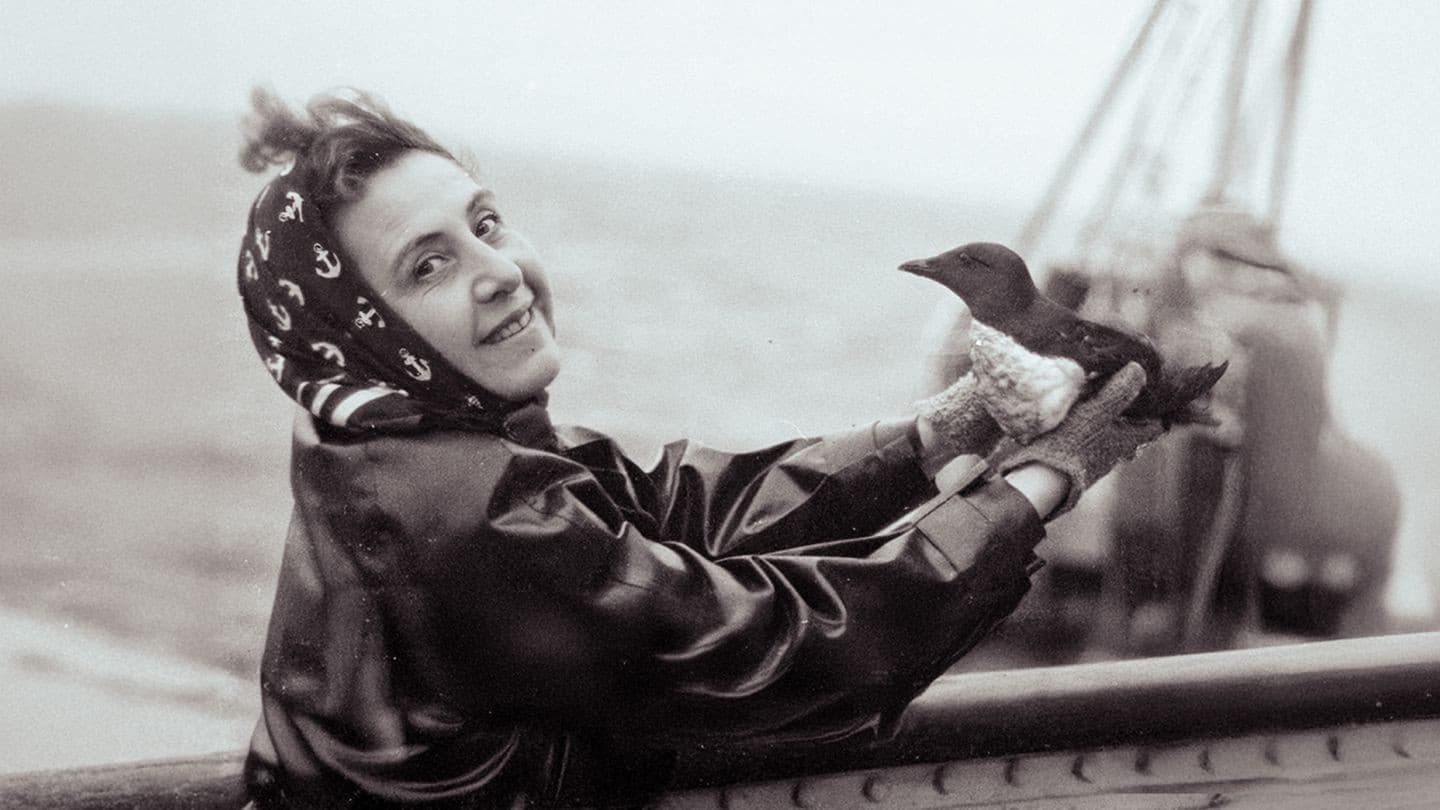 Anita Conti, l'appel du large backdrop