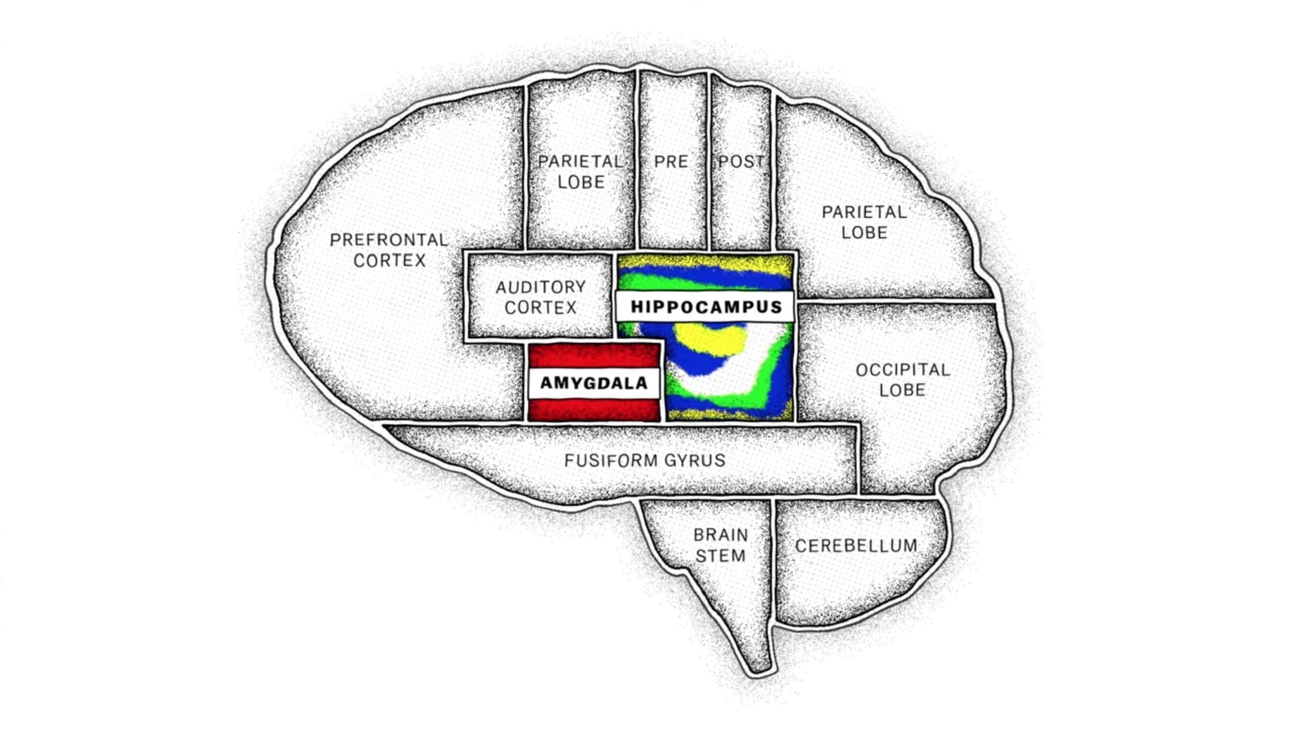 The Mind, Explained backdrop