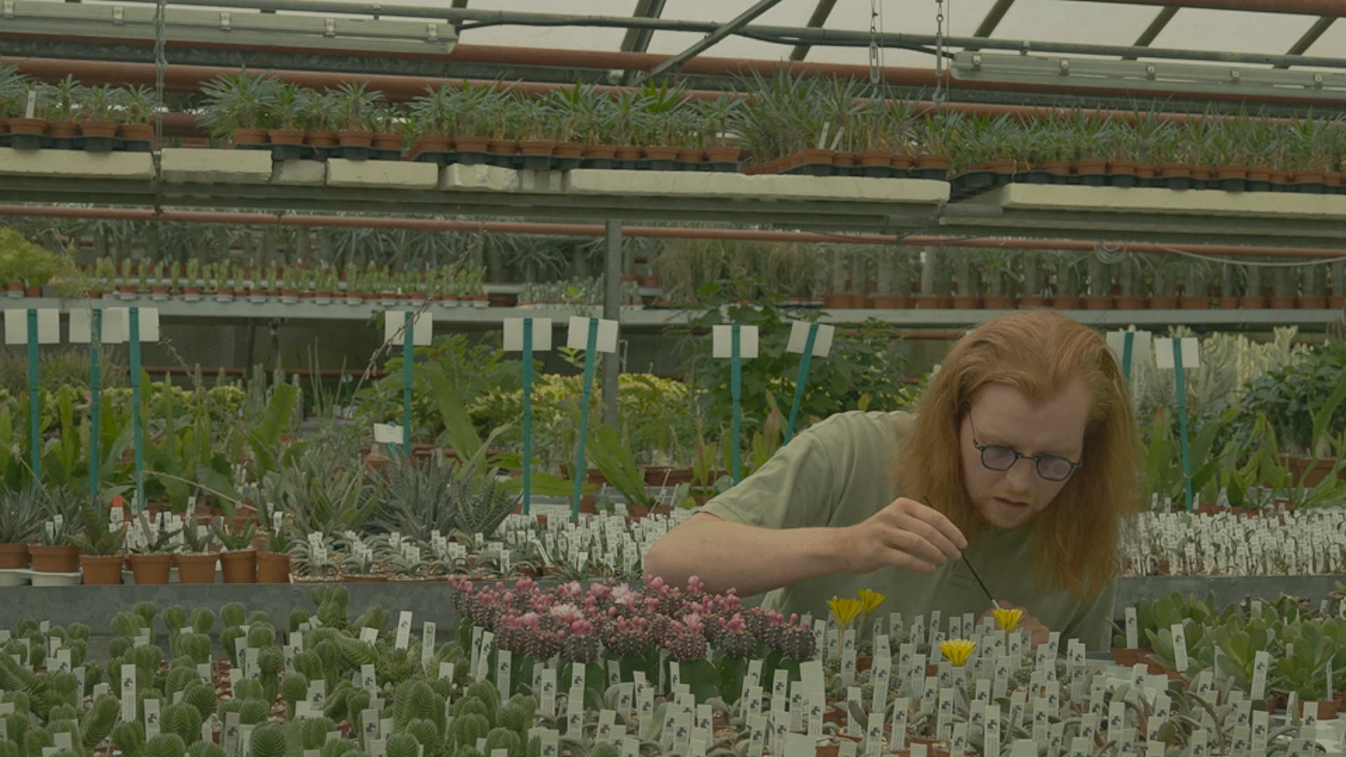 PLANTASIA backdrop