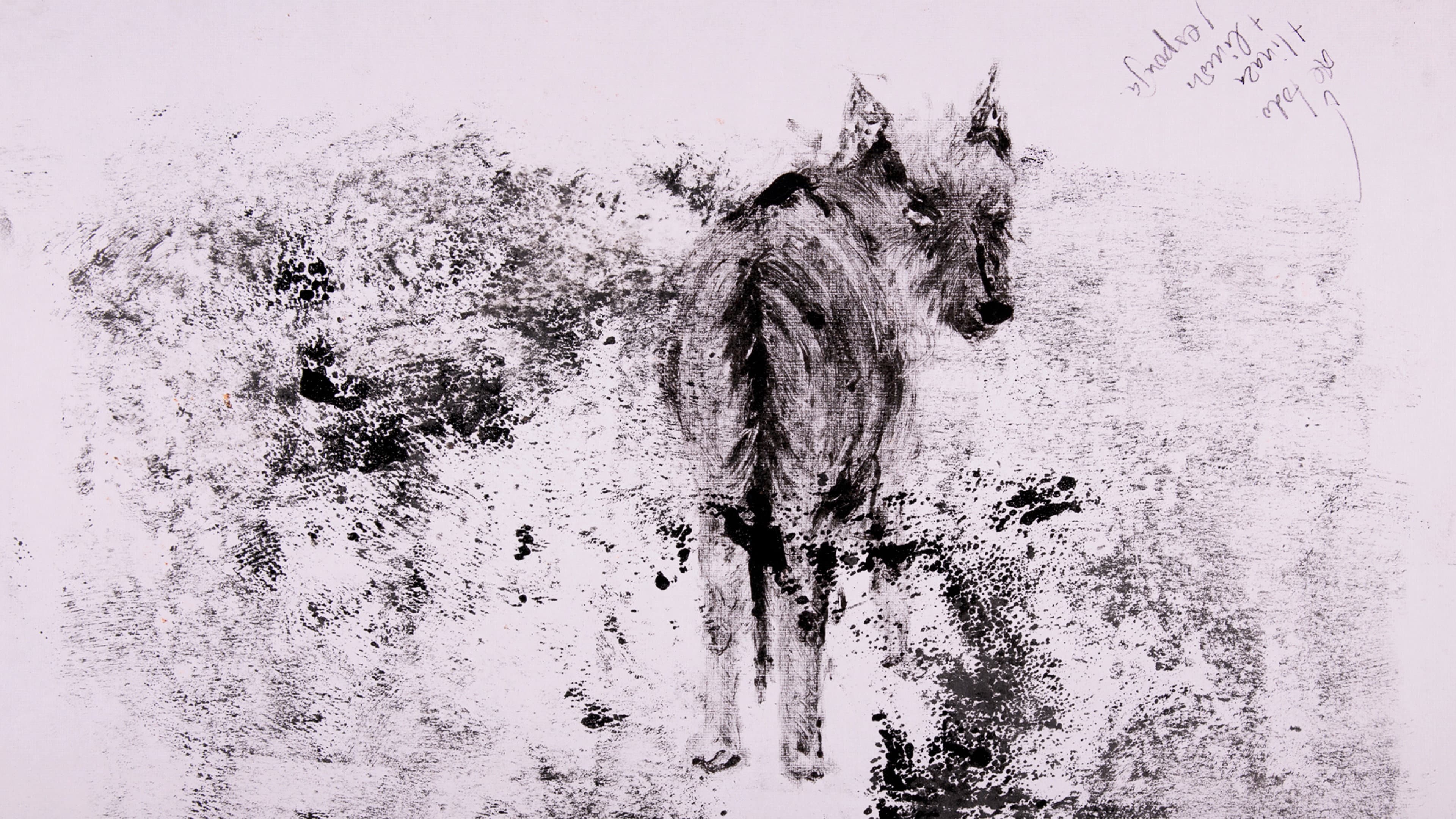 decay backdrop