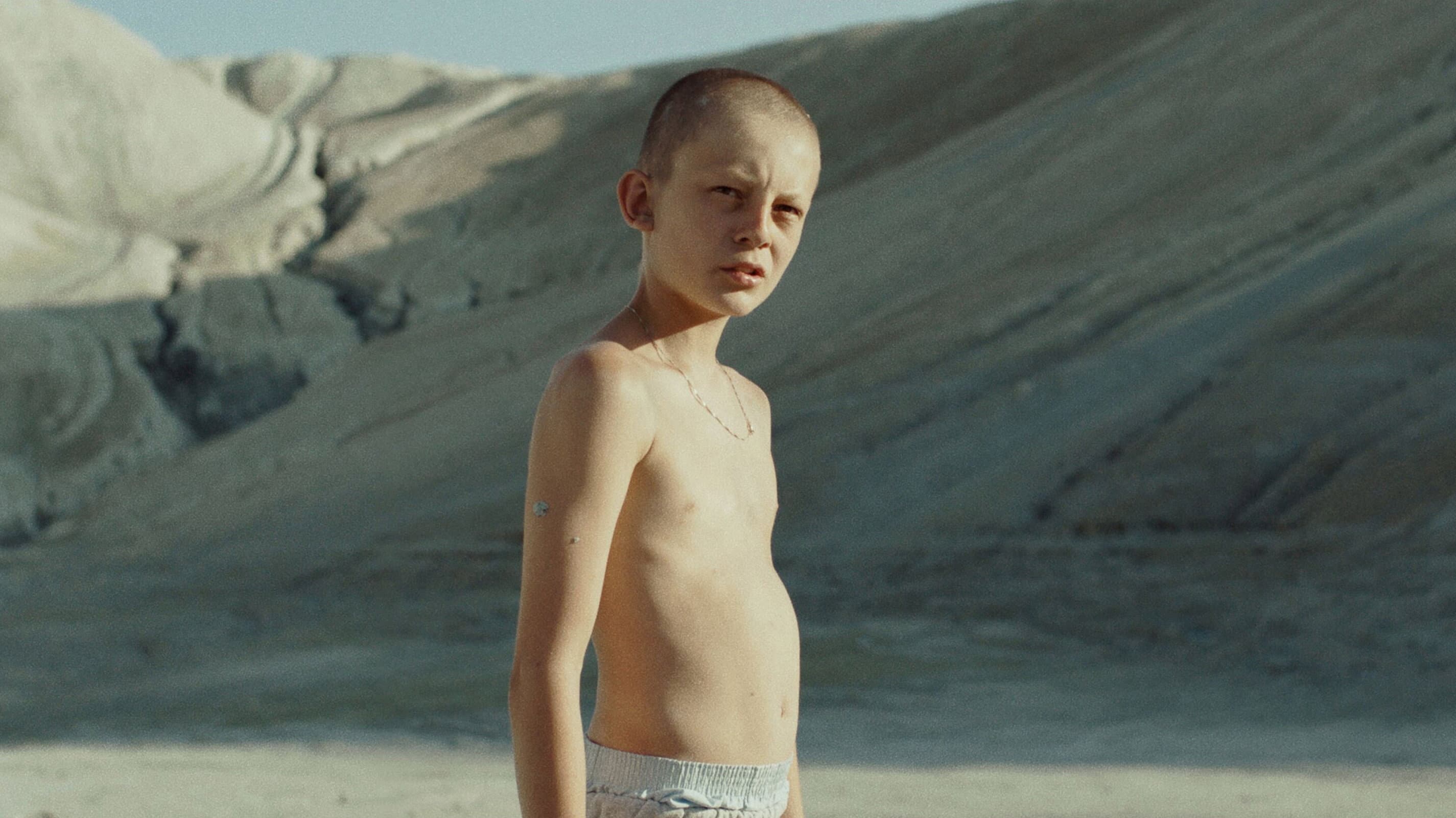 Fauve backdrop