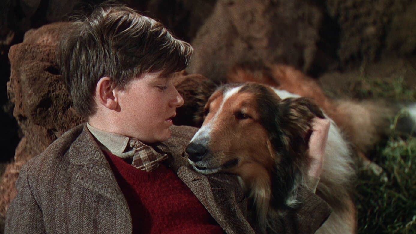 Lassie Come Home backdrop
