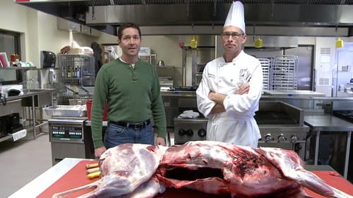Deer Hunt | Butcher
