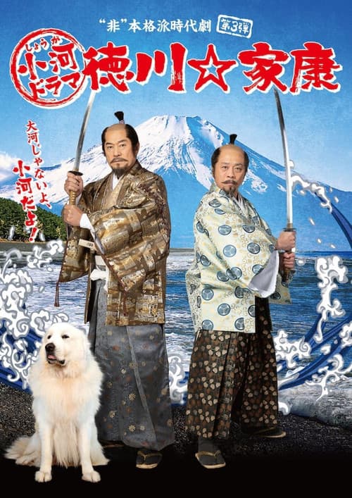 Shouga Dorama Tokugawa ☆ Ieyasu poster