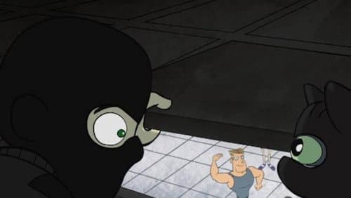 The Gym