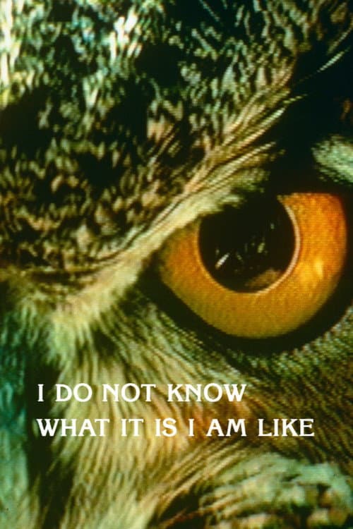 I Do Not Know What It Is I Am Like poster