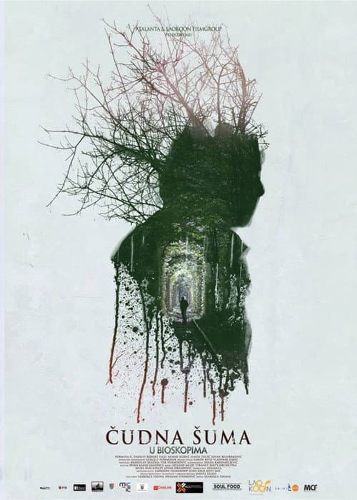 Strange Forest poster