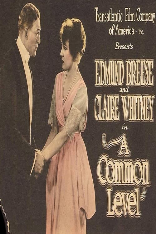 A Common Level poster