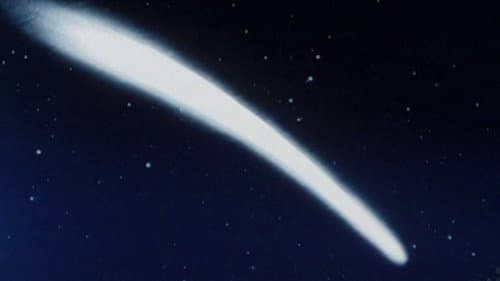 The Harley's Tail