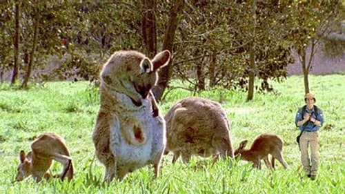 Marsupials