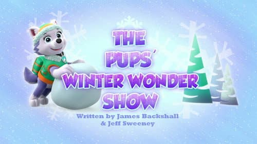 The Pups' Winter Wonder Show