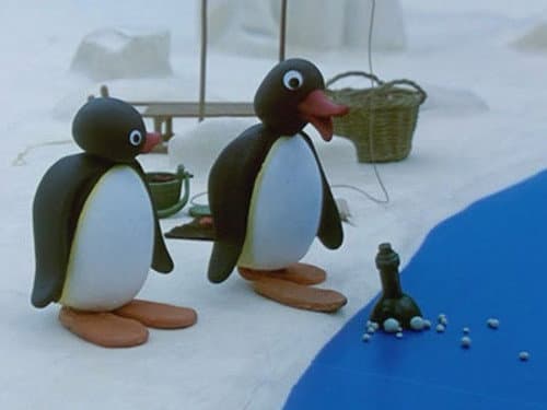 Pingu And The Message In A Bottle
