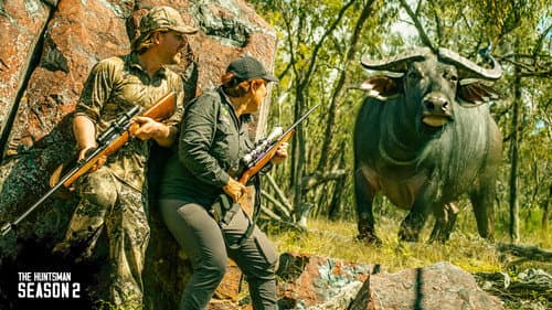 Buffalo hunt & meat harvest