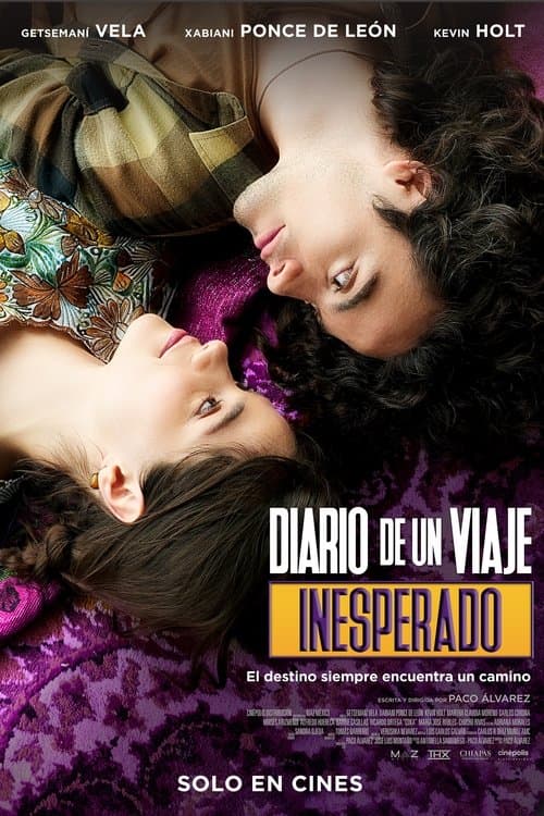 Diary of an Unexpected Journey poster