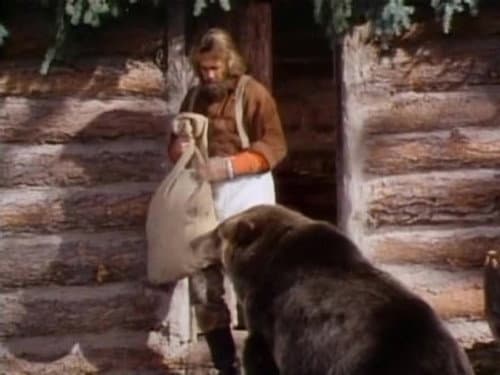 Adam's Cub