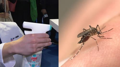 Firms Develop Mosquito Spray to Fight Dengue Fever