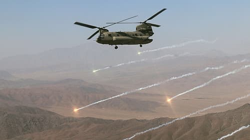 Chinook