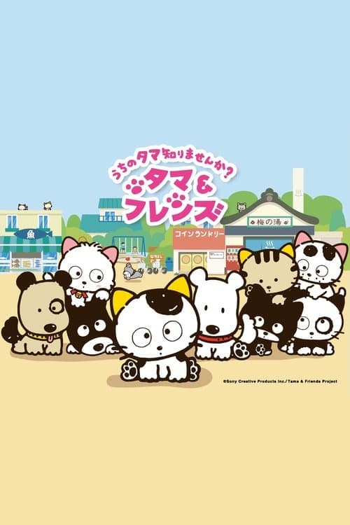Tama and Friends: Have You Seen My Tama? poster