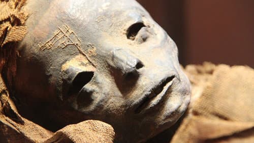 Mummies: a Challenge to Immortality