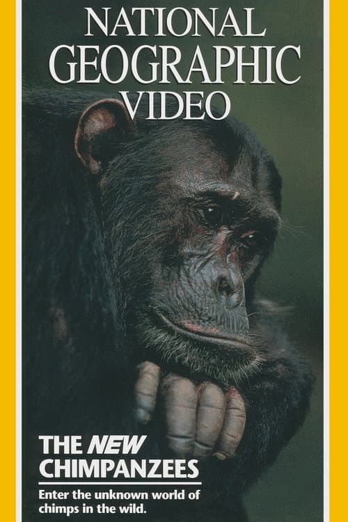 The New Chimpanzees poster