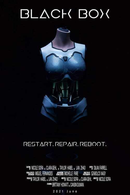Black Box poster