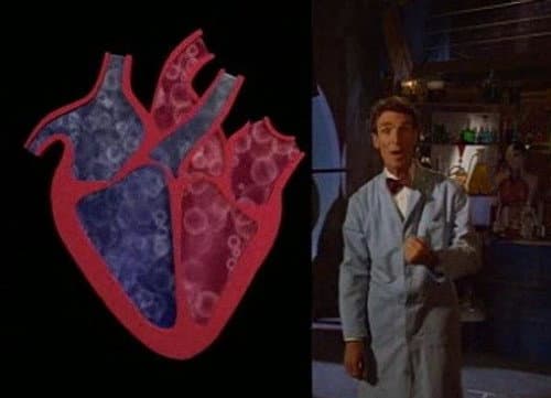 Heart