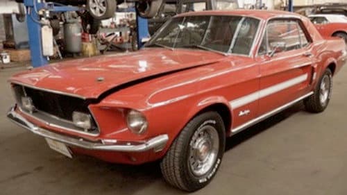 One Mad Mustang - Part 1