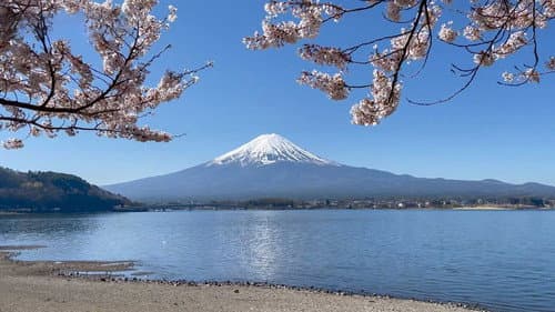 Fuji Five Lakes: The Water of Life